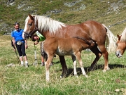 MONTE CADELLE (mt. 2483) - Sabato 15 Settembre 2012 - FOTOGALLERY